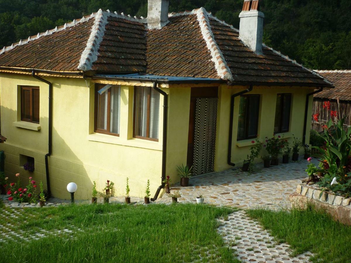 Guest House „Ivanovata House” Yanovets Eksteriør billede